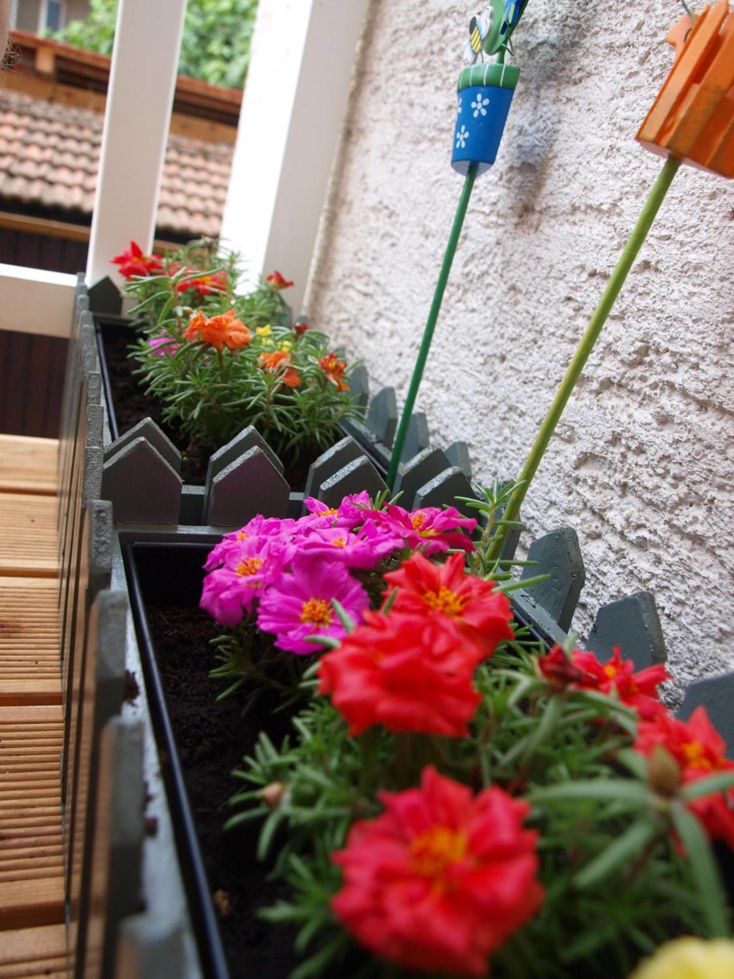 Apartment Witty Please Zagreb Bilik gambar